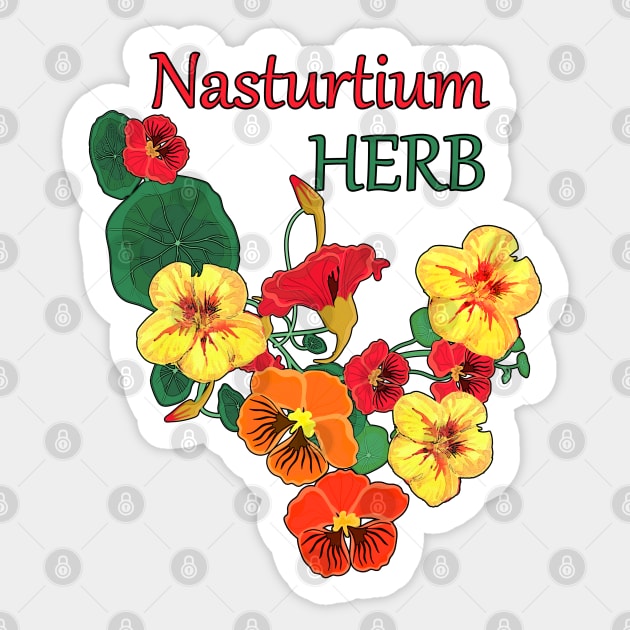 Nasturtium Herbs-Herb plant Nasturtium-Spring-Summer- Nasturtium  flowers Sticker by KrasiStaleva